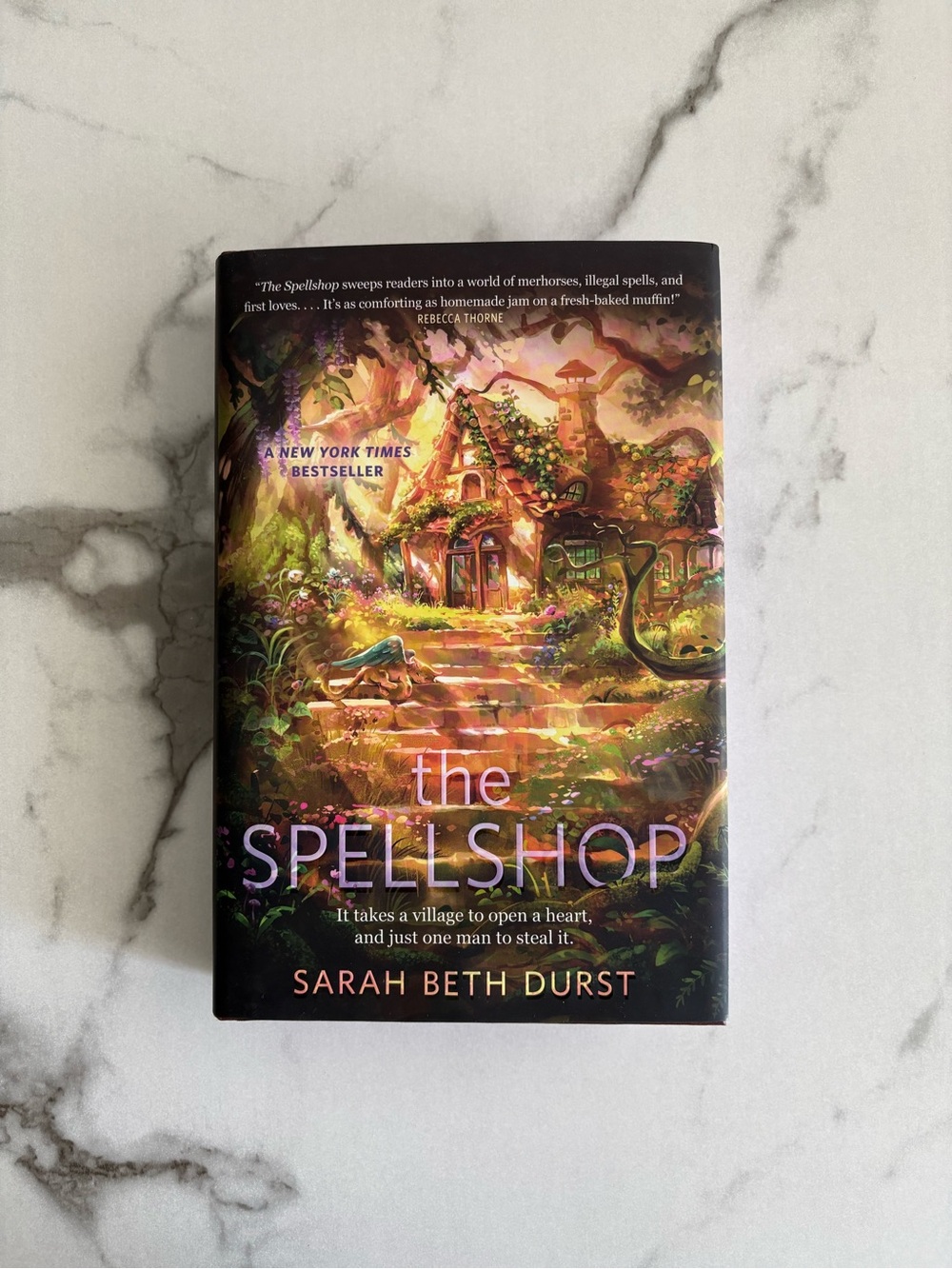 The Spellshop by Sarah Beth Durst Fantasy Romance Fiction Hardcover Book